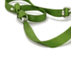 M Plus Matcha lanyard
