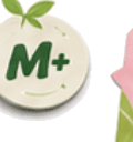 M Plus Matcha round tag